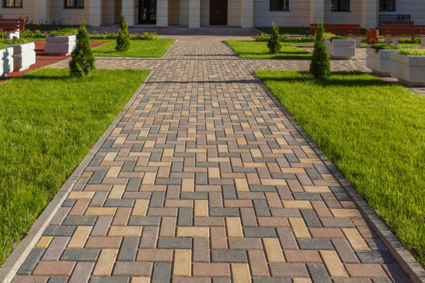 Best Driveway Paving Contractor  in Eudora, AR